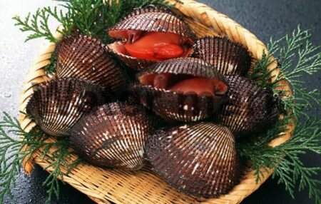 Food Name 13