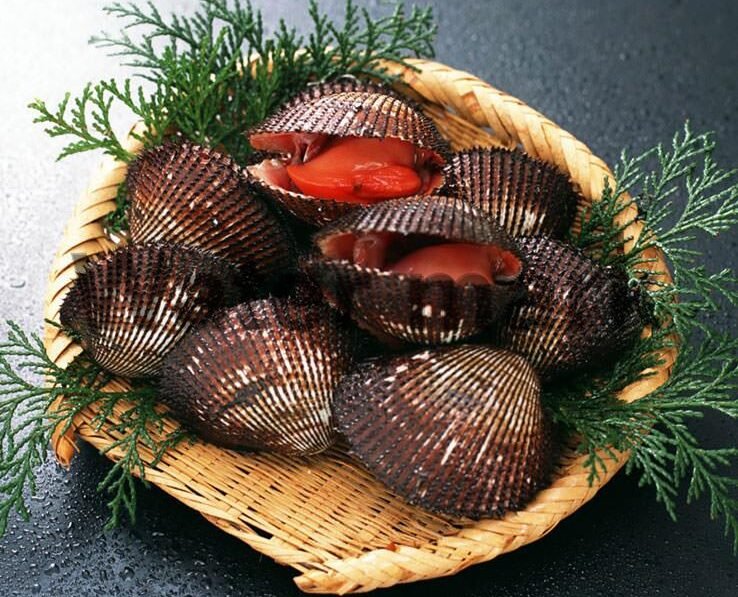 Food Name 13